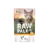 RAW PALEO CAT STERILISED TURKEY MEAT 100G
