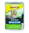 GimCat SOFT-GRASS Trawa dla Kota w pojemniku 100g