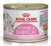 Royal Canin Mother & Babycat Instinctive Mousse - mus dla kociąt i kotek karmiących puszka 195g