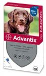 Advantix Spot On L dla psów od 25 do 40kg 1 x 4,0ml