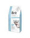 Brit Grain Free Veterinary Diets Cat Obesity 2x5kg