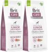 BRIT CARE DOG SUSTAINABLE JUNIOR LARGE BREED CHICKEN INSECT 2x12 KG