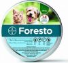Foresto - dł 38 cm - obroża przeciwko pchłom i kleszczom dla kotów i psów o masie ciała do 8 kg