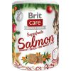 Brit Care Cat Snack Superfruits Christmas Salmon 100g