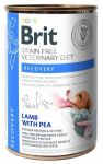 BRIT GRAIN FREE VETERINARY DIETS DOG&CAT RECOVERY 400G